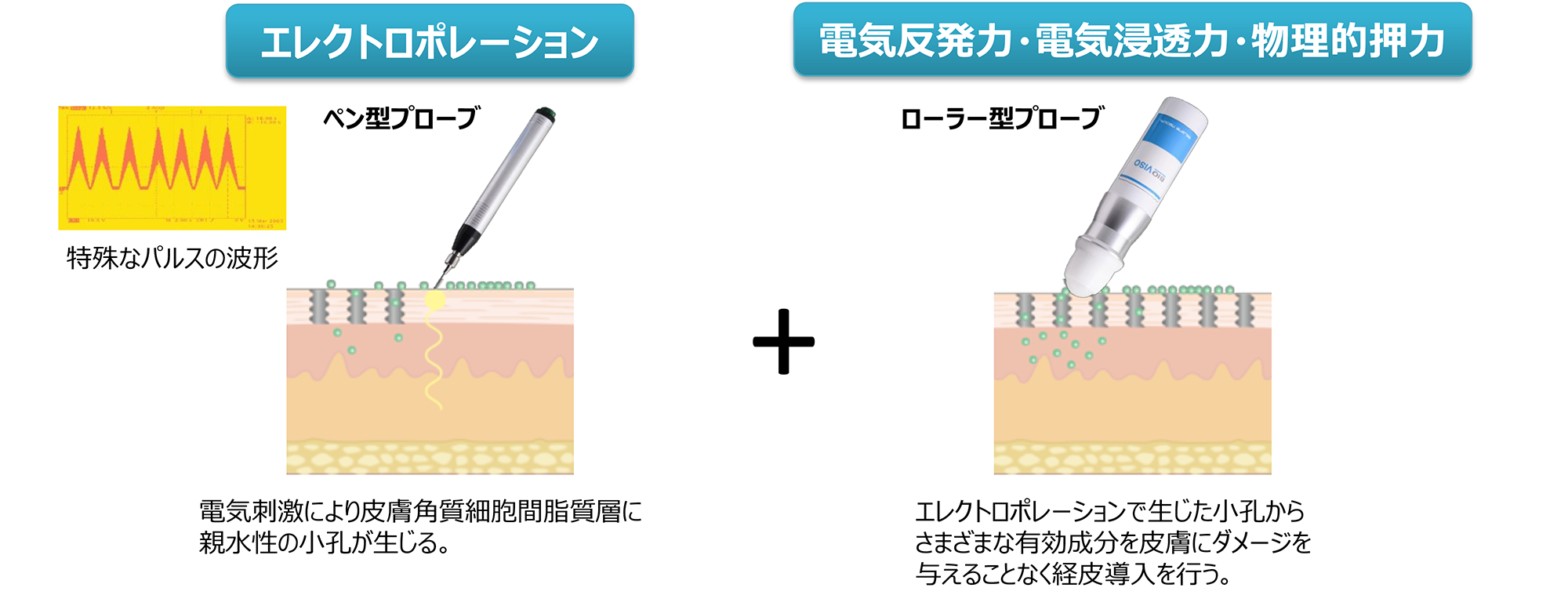 エレクトロポーション+電気反発力・電気浸透力・物理的押力の説明図